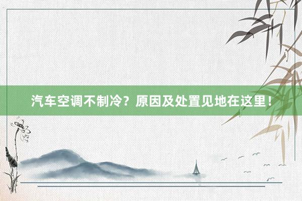 汽车空调不制冷？原因及处置见地在这里！