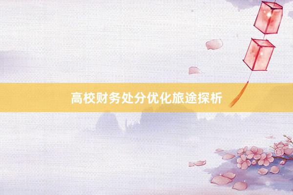 高校财务处分优化旅途探析