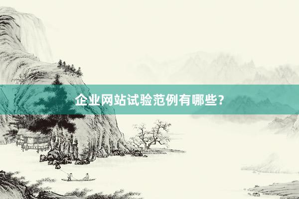 企业网站试验范例有哪些？