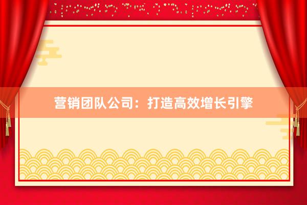 营销团队公司：打造高效增长引擎