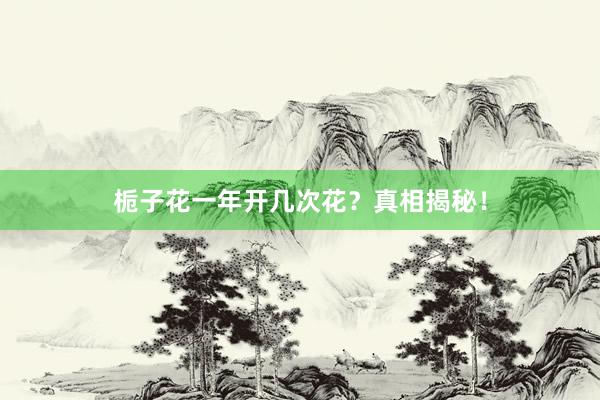 栀子花一年开几次花？真相揭秘！