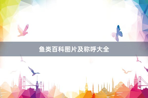 鱼类百科图片及称呼大全